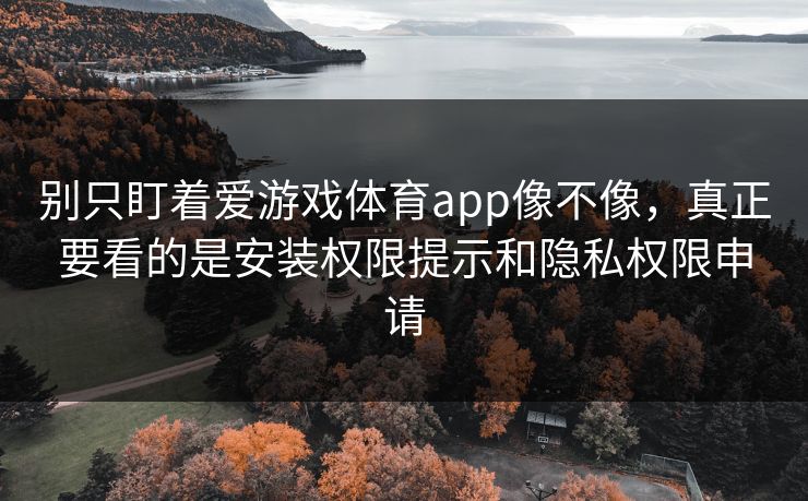 别只盯着爱游戏体育app像不像,真正要看的是安装权限提示和隐私权限申请 别只盯着爱游戏体育app像不像,真正要看的是安装权限提示和隐私权限申请